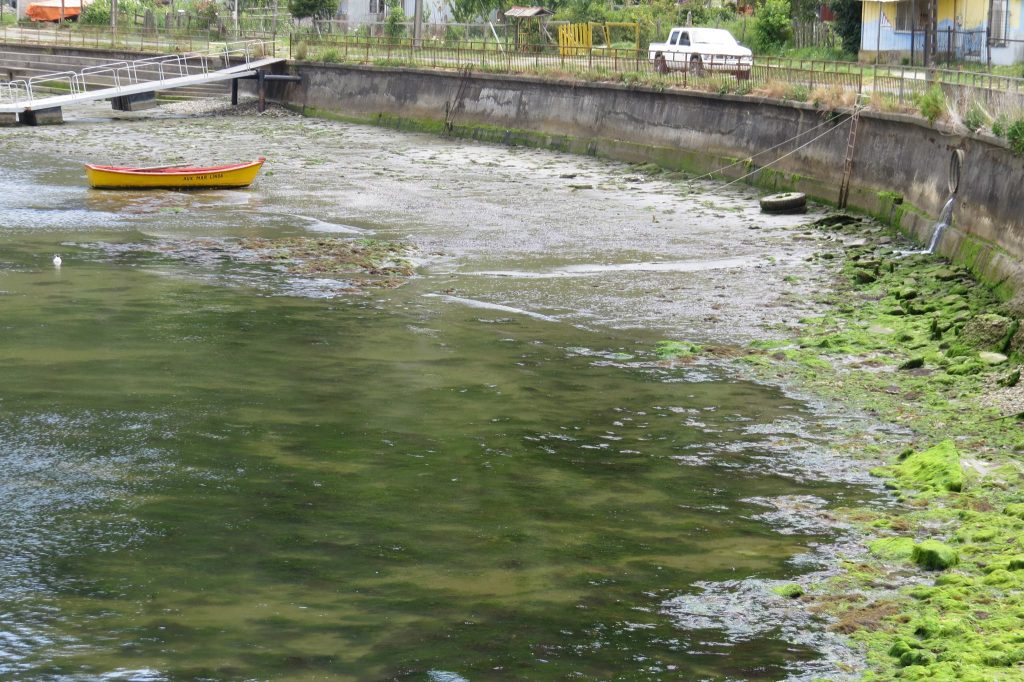 El actual estado de la Caleta de Amargos