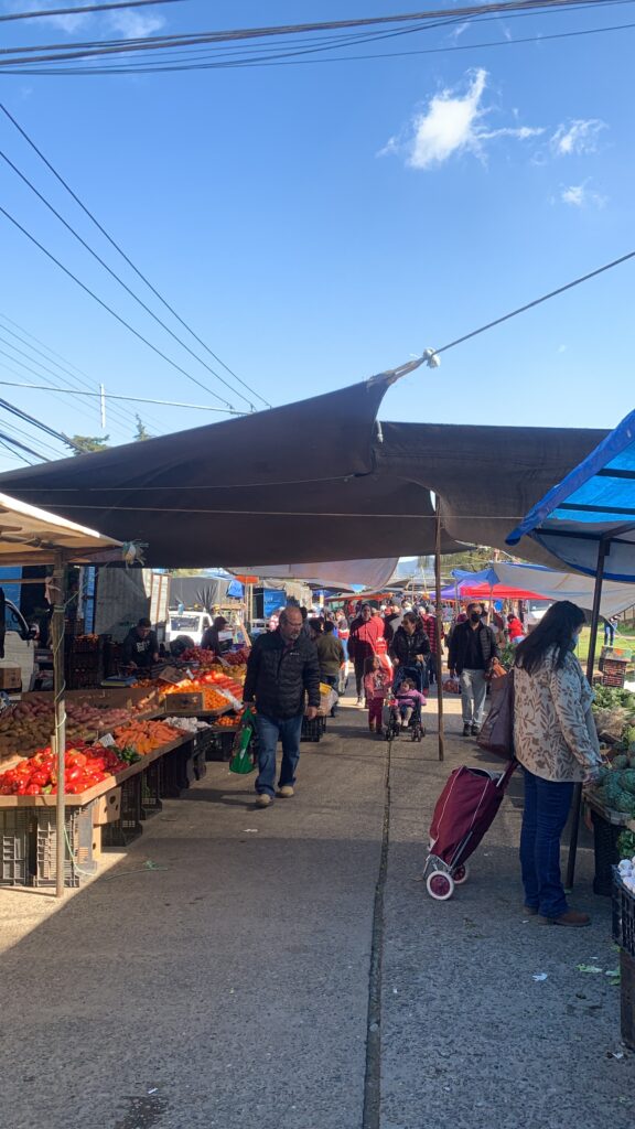 Entrada feria libre día Sábado 24